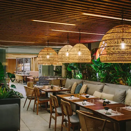 Napa (adults Only) 4* Ajia Napa