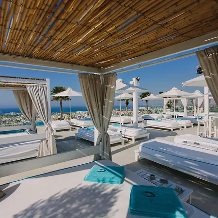 Napa (adults Only) Hotel